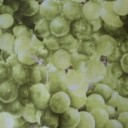 สมาชิกหมายเลข 1019696