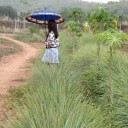 สมาชิกหมายเลข 1183229