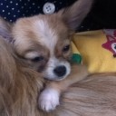 สมาชิกหมายเลข 765812