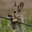 สมาชิกหมายเลข 1165815