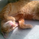 สมาชิกหมายเลข 765660