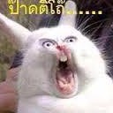 สมาชิกหมายเลข 1452689