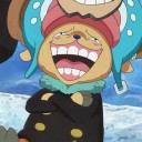 ทาสแมวที่ 12