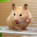 สมาชิกหมายเลข 2790369