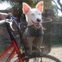 สมาชิกหมายเลข 766837