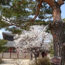 สมาชิกหมายเลข 701443