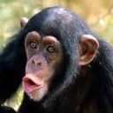 สมาชิกหมายเลข 1028374