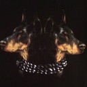 สมาชิกหมายเลข 2399222