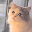 สมาชิกหมายเลข 2399274