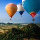 สมาชิกหมายเลข 2336166