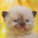 สมาชิกหมายเลข 767173