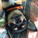 สมาชิกหมายเลข 3216055