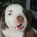 สมาชิกหมายเลข 749674