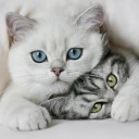 สมาชิกหมายเลข 767793