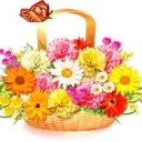 สมาชิกหมายเลข 755297