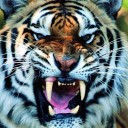 สมาชิกหมายเลข 2400143