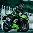 ลืมหัวใจไว้ในโมโกจู