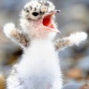 สมาชิกหมายเลข 768044