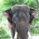 สมาชิกหมายเลข 2007763