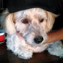 สมาชิกหมายเลข 897619