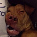 สมาชิกหมายเลข 1168231