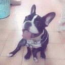 สมาชิกหมายเลข 1450838