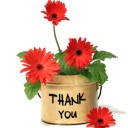 สมาชิกหมายเลข 2008382