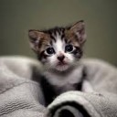 สมาชิกหมายเลข 2799460