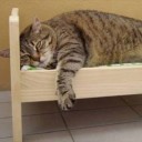 สมาชิกหมายเลข 1931926