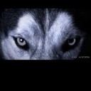 สมาชิกหมายเลข 2766119