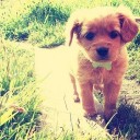 สมาชิกหมายเลข 769247