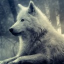 สมาชิกหมายเลข 1400646