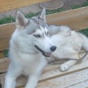 สมาชิกหมายเลข 798702