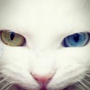 เด็กหญิงอ้อ