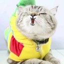 สมาชิกหมายเลข 1852587