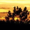 สมาชิกหมายเลข 2398071