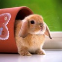 สมาชิกหมายเลข 769579