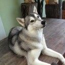 สมาชิกหมายเลข 1169220