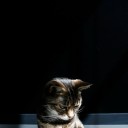 สมาชิกหมายเลข 1449980