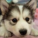 น้องนู๋อิ๋ง