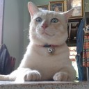 สมาชิกหมายเลข 2680501