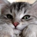 สมาชิกหมายเลข 1169563