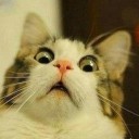 สมาชิกหมายเลข 740789