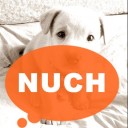 มะหมาผู้น่ารัก