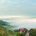 สมาชิกหมายเลข 1810691