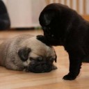 สมาชิกหมายเลข 2228065