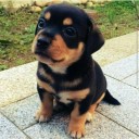 นักรบ นะ อิอิ