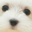 สมาชิกหมายเลข 770990