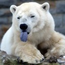 สมาชิกหมายเลข 1077540