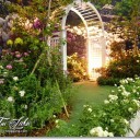 สมาชิกหมายเลข 985215